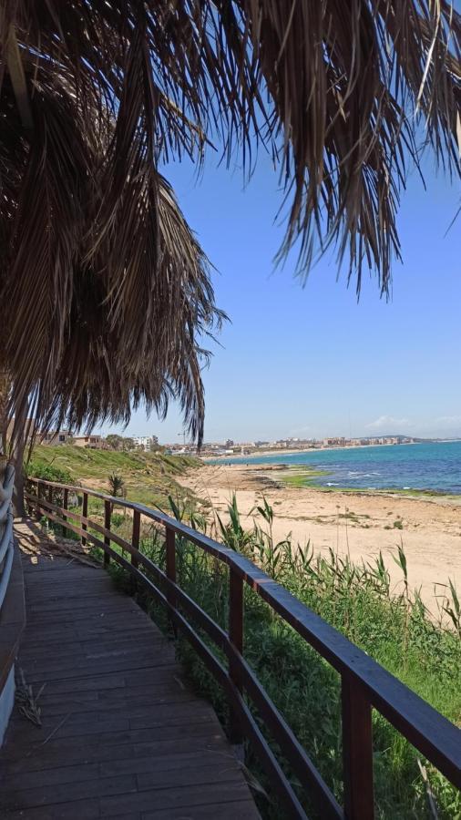 Apartment Only 250M From The Beach Los Locos Torrevieja Exteriér fotografie