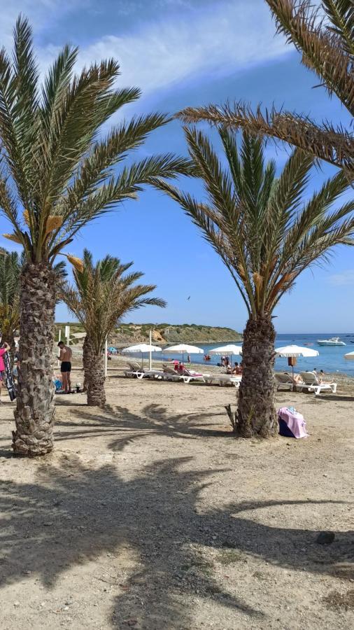 Apartment Only 250M From The Beach Los Locos Torrevieja Exteriér fotografie